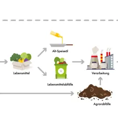 Schema zur Herstellung von HVO-Kraftstoff aus Nutzpflanzen, Lebensmitteln, Altöl und Agrarabfällen.