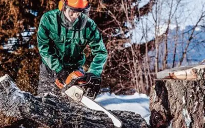Mann in Schutzkleidung sägt mit Kettensäge in winterlicher Waldlandschaft.