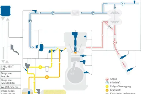 Schema einer CNG-Kraftstoffanlage mit Motor, Luft- und Kraftstoffzufuhr sowie Abgassystem.