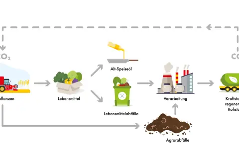 Schema zur Herstellung von HVO-Kraftstoff aus Nutzpflanzen, Lebensmitteln, Altöl und Agrarabfällen.