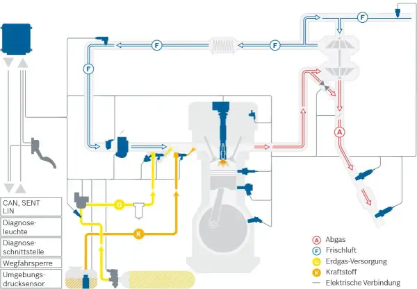 Schema einer CNG-Kraftstoffanlage mit Motor, Luft- und Kraftstoffzufuhr sowie Abgassystem.
